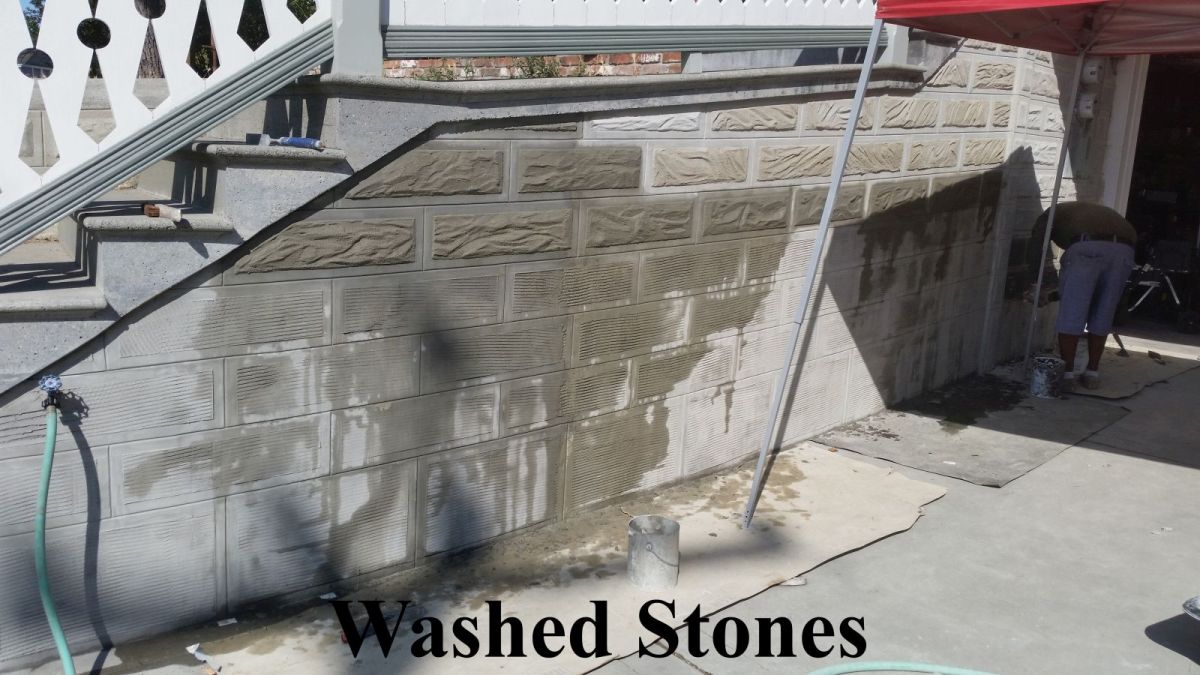 Photo of 22-24 Bodega Ave