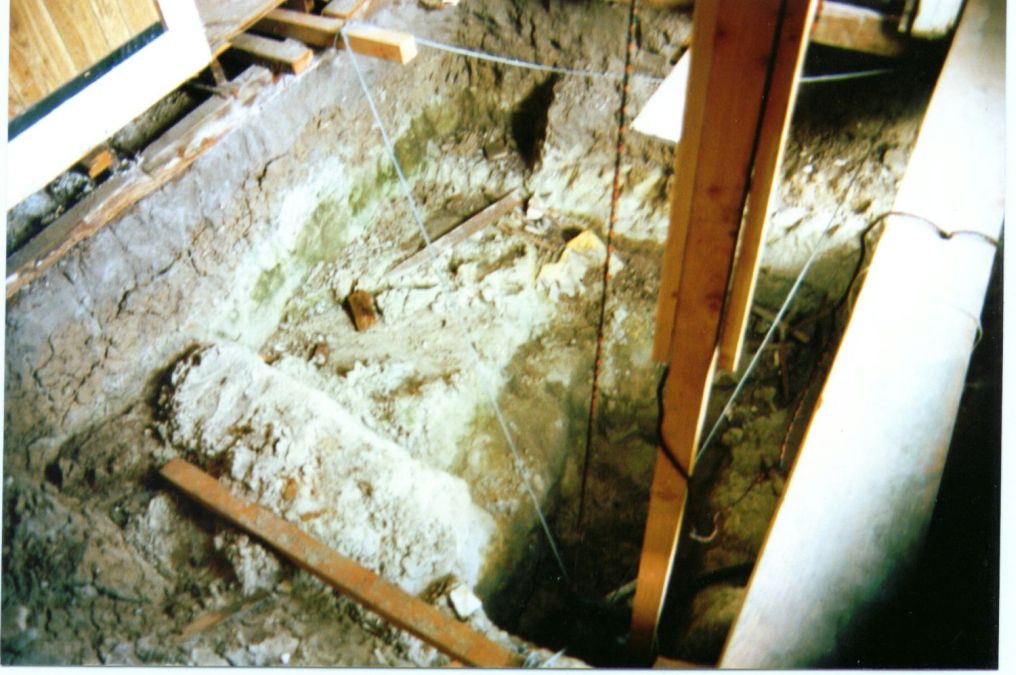 Photo of 22-24 Bodega Ave